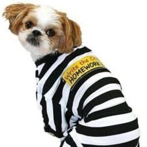 Pet Pajamas - Prisoner - Write the Crime! (medium)